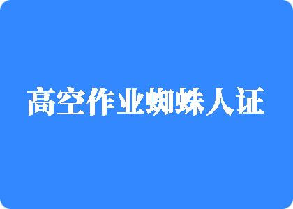 真人日比视须高空作业蜘蛛人证